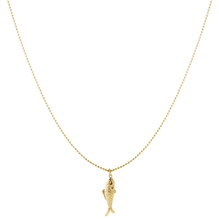 Ketting vis