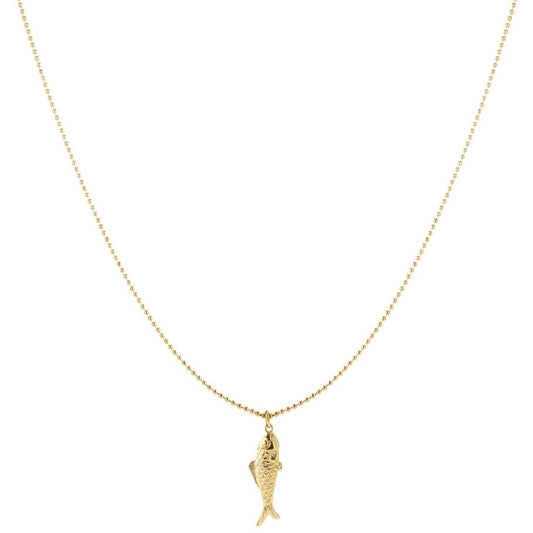 Ketting vis